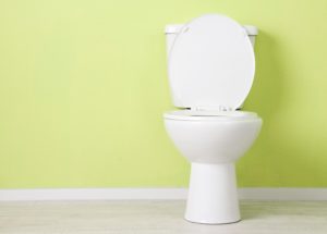What Not To Flush Down The Toilet