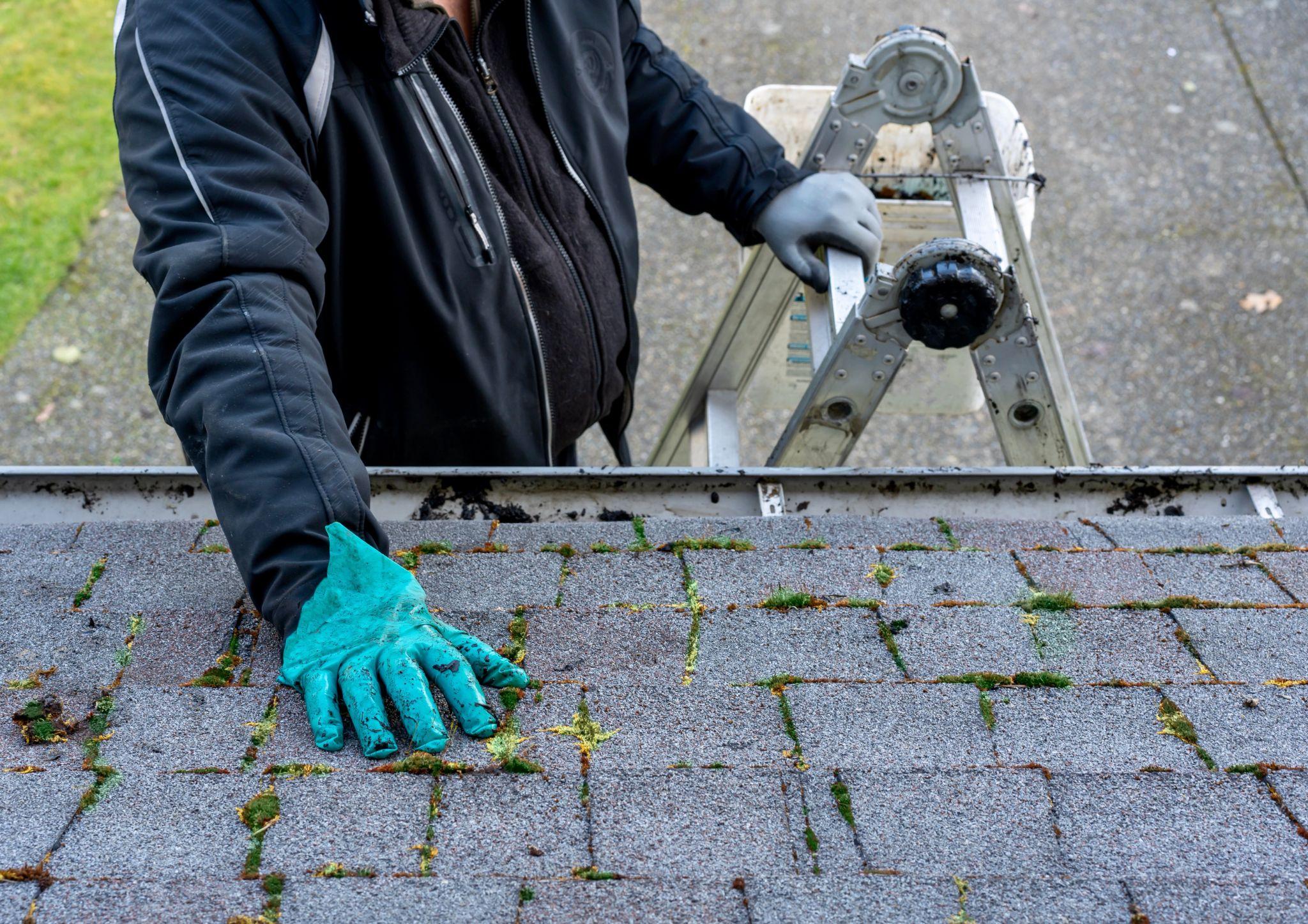 Inspecting roof as part of home maintenance tasks
