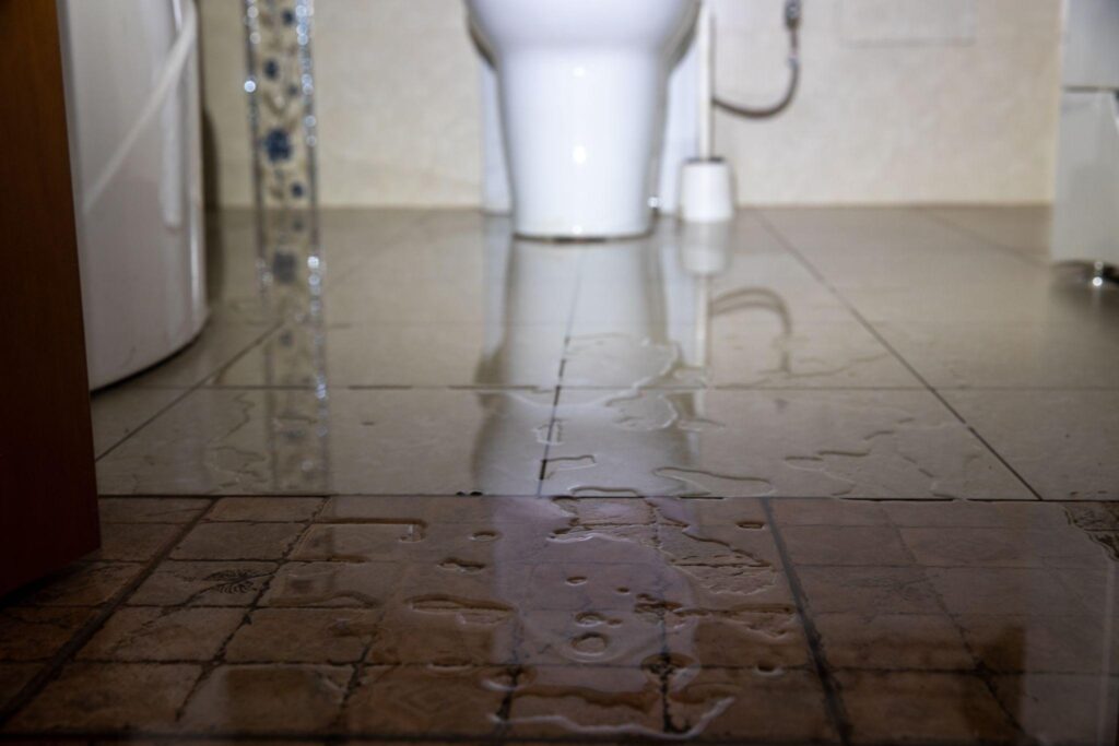 What to Do if Your Toilet Overflows Christianson Co