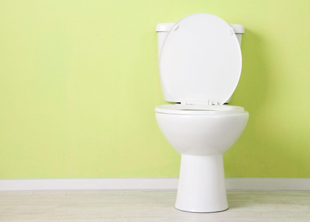 Common Reasons Why Your Toilet is Gurgling