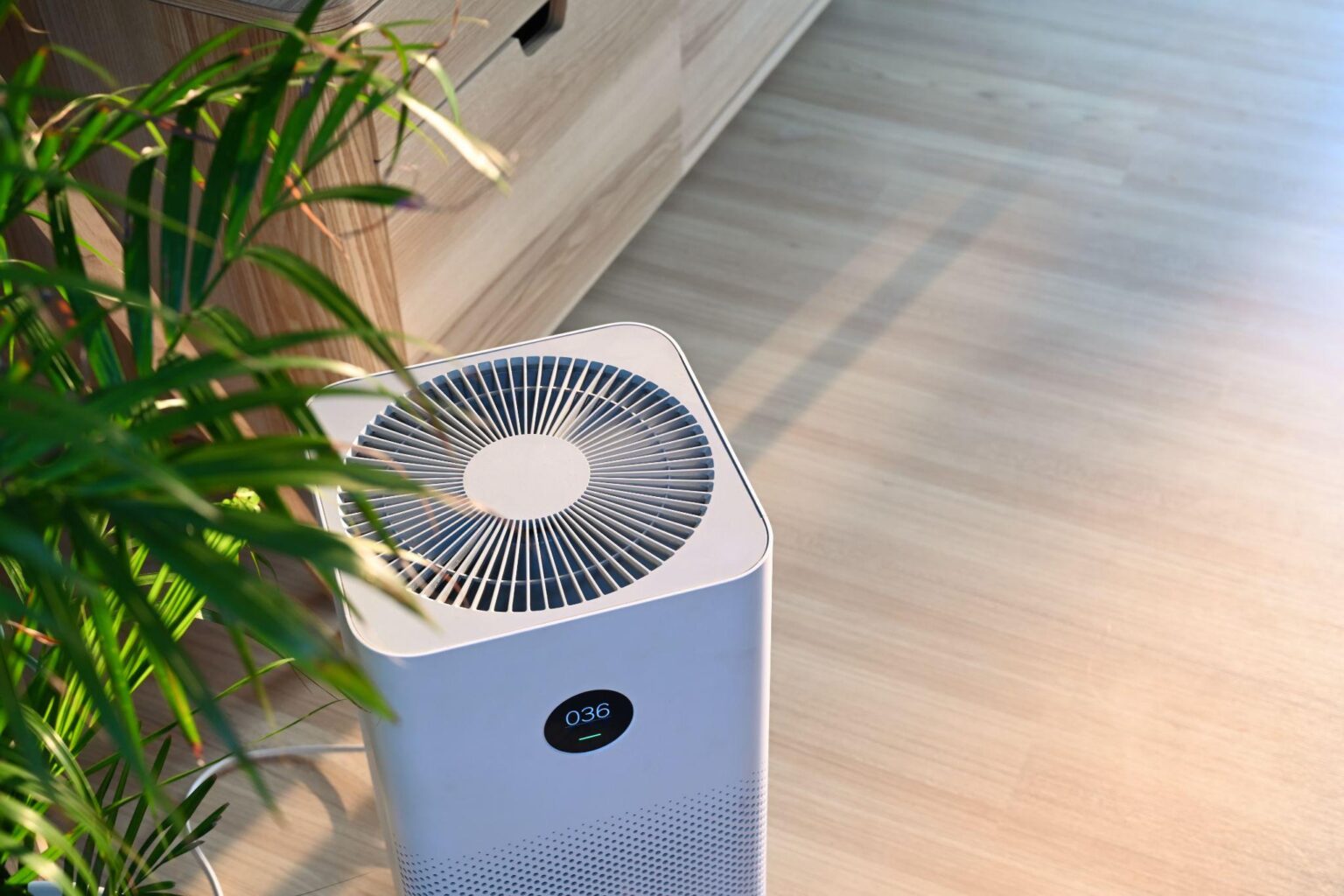 Can Air Purifiers Eliminate Dust or Dust Mites? Christiansonco